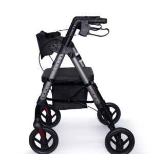 Lauko vaikštynė RF-617